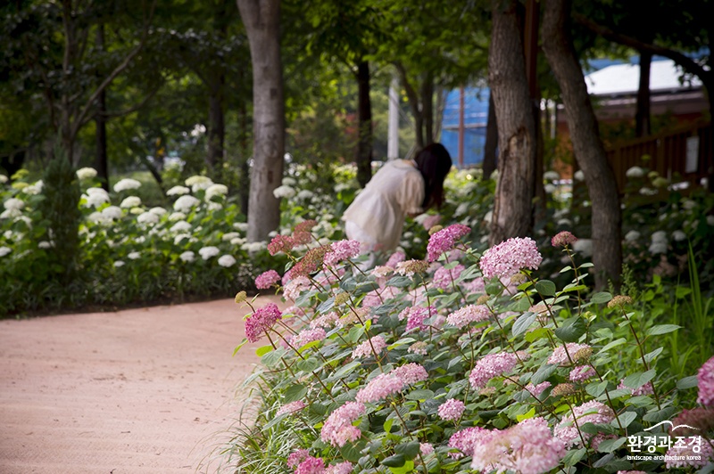 보도.jpg