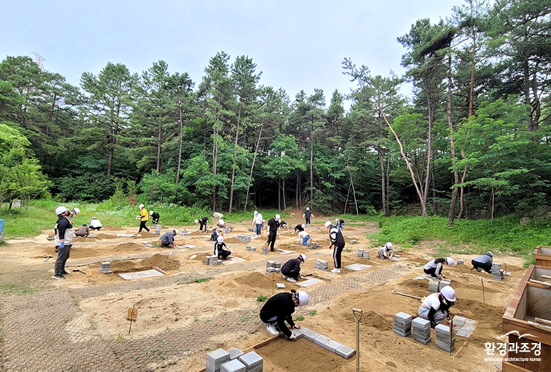 보도도.jpg