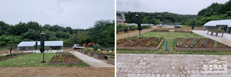 보도.jpg