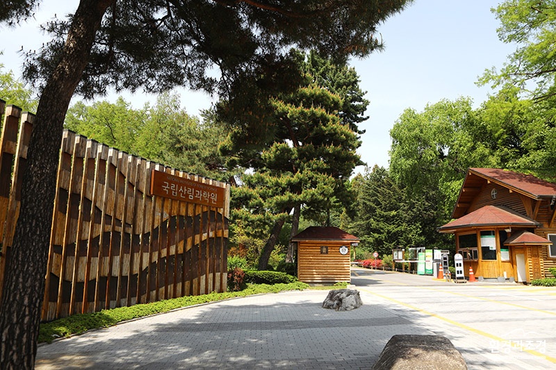 국립산림과학원 정문 보도.jpg