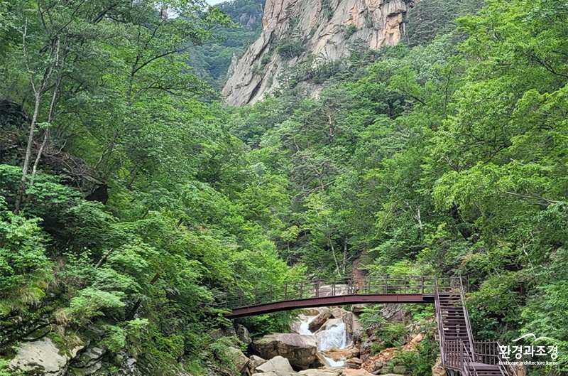 보도.jpg