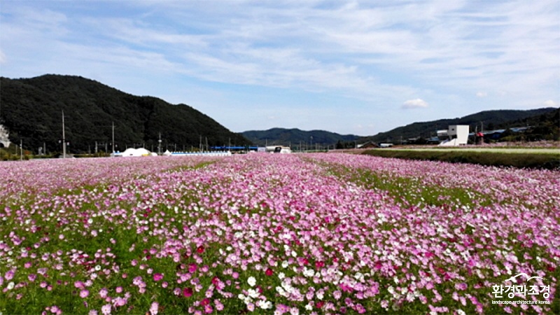 보도 하동.jpg