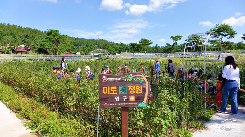 (사진) 영천운주산승마장(2)-미로정원.jpg