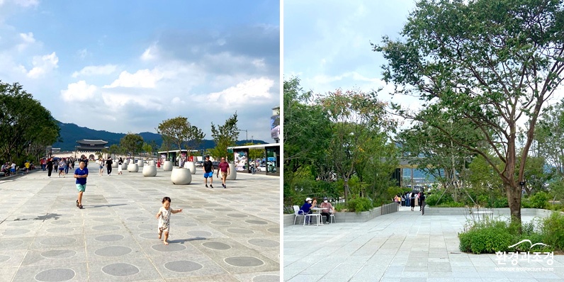 보도보도.jpg