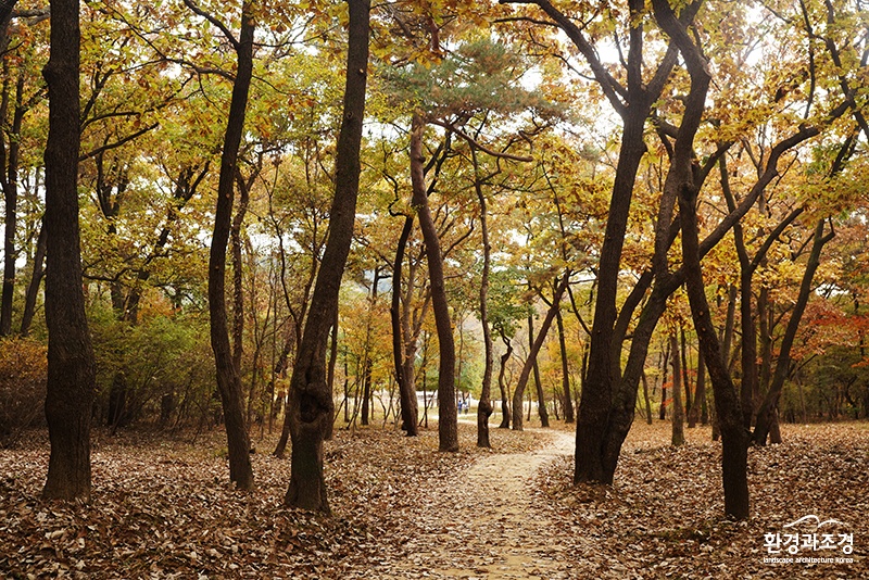 구리 동구릉 보도.jpg