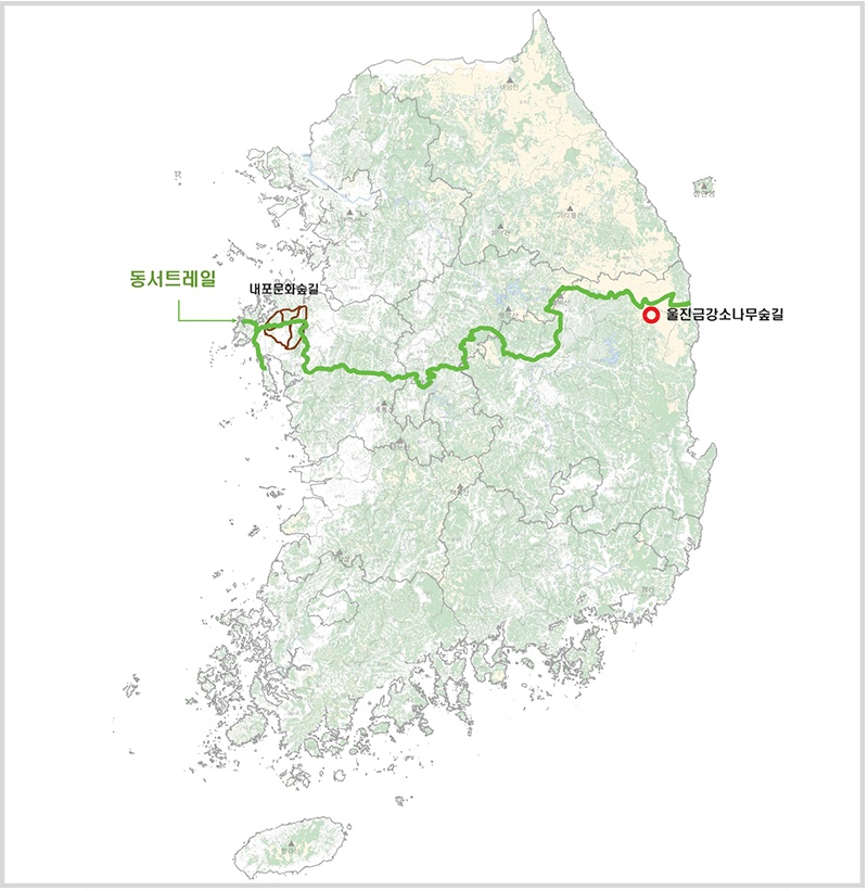 동서트레일 노선도 보도.jpg