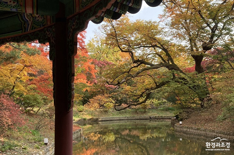창덕궁 관람정 (사진=문화재청 제공).jpg