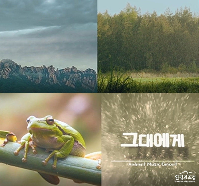 보도.jpg