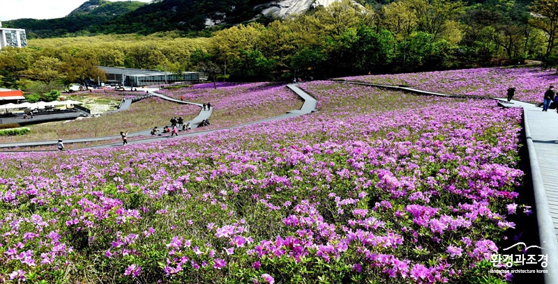조경상(2)_최우수상.jpg