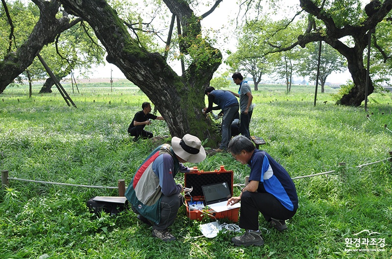 나무병원 수목진료 (사진=산림청 제공).jpg