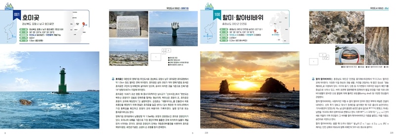 보도도.jpg
