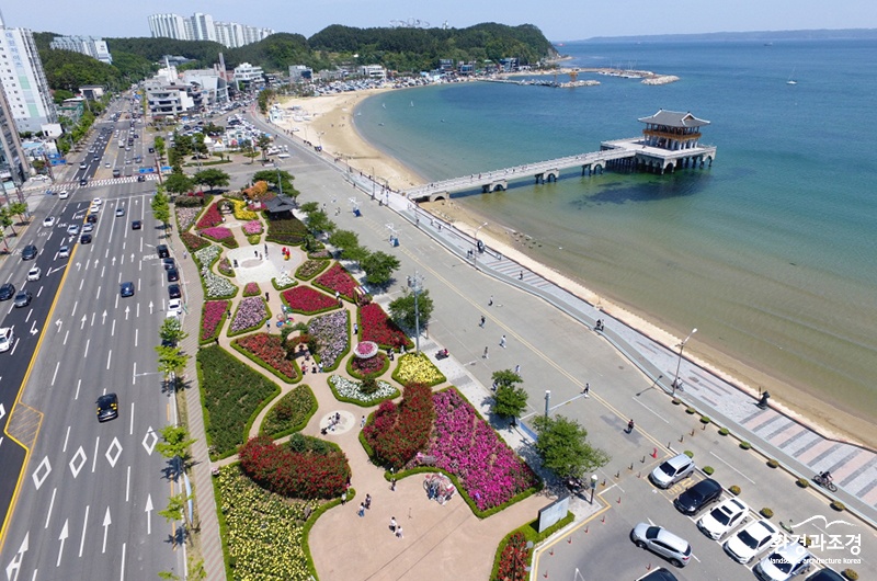 포항 영일대 장미원 (사진=포항시 제공).jpg