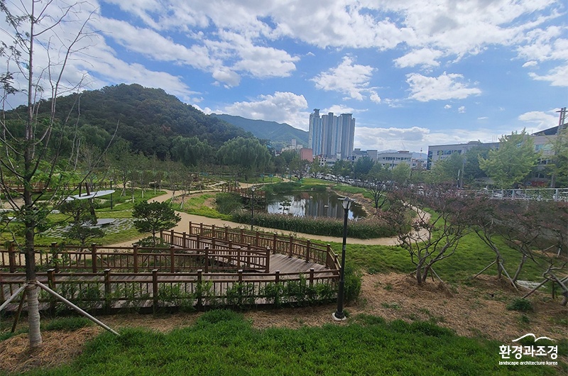 대구대표숲.jpg