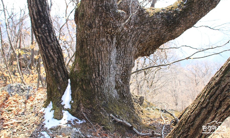 설악산 홍석환.jpg