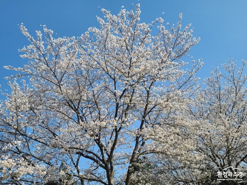 구례 화엄사 들매 (사진=구례 화엄사 제공).jpg