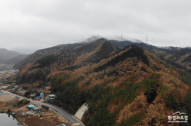 덕구군립공원 주변 2차 피해예방 및 생활권복원 대상지 (사진=산림청 제공).jpg