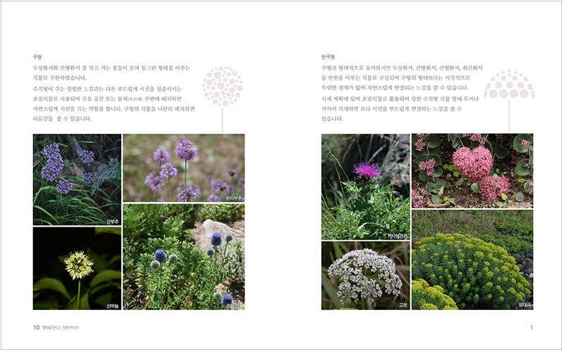 형태에 따른 식물들을 정원 식재에 활용하는 방법 설명.jpg
