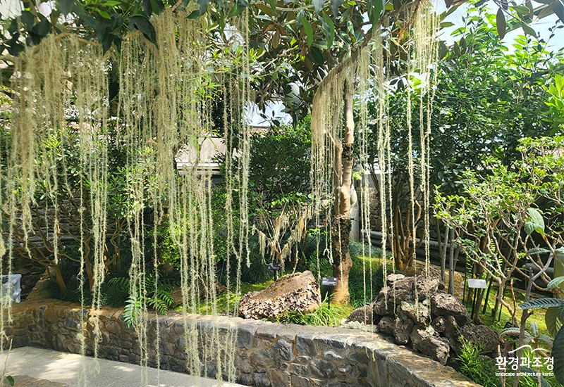 지의류정원 전경사진.jpg