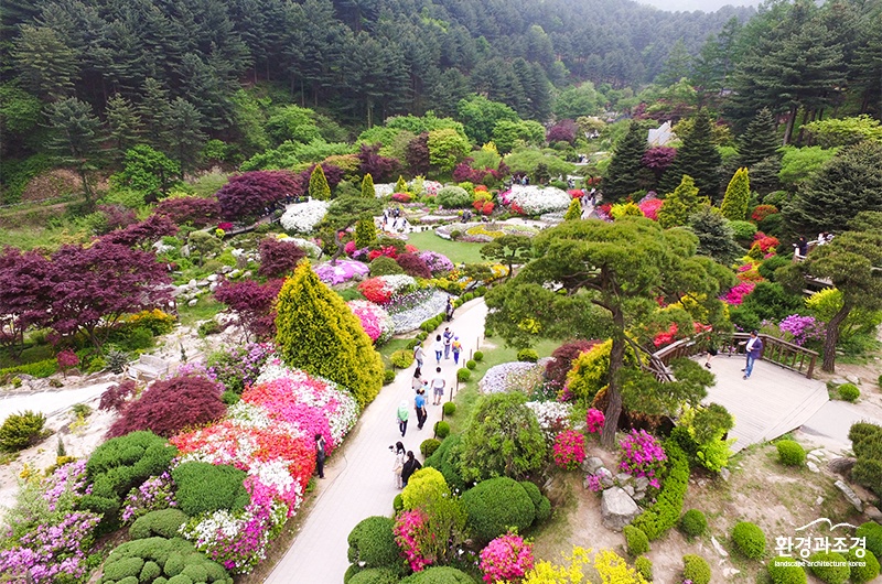 메인정원 보도.jpg