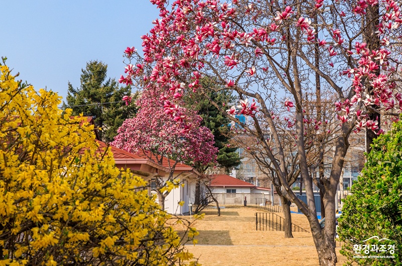 용산어린이정원 (사진=용산어린이정원 제공).jpg