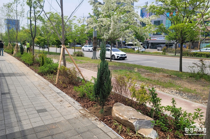 수원시 곳곳에 조성된 가로숲길.jpg