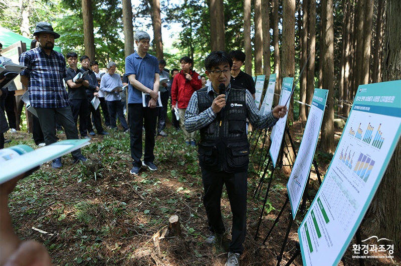 섬넬.jpg