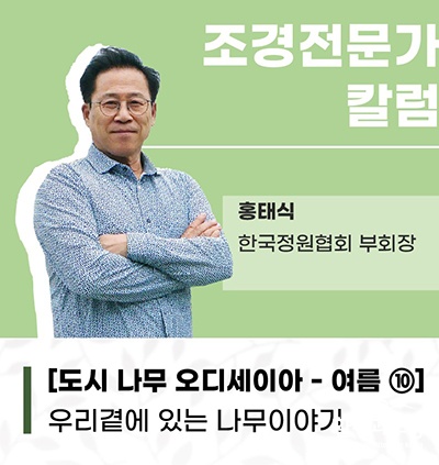 보도.jpg