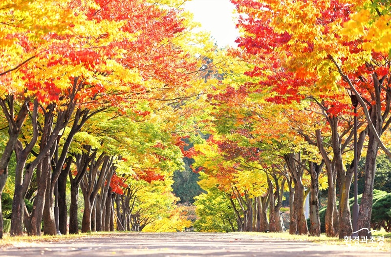느티-문수체육공원ㅇㅇ.jpg