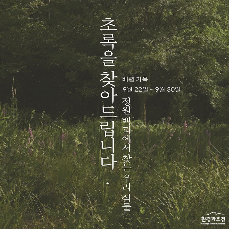 보도.jpg