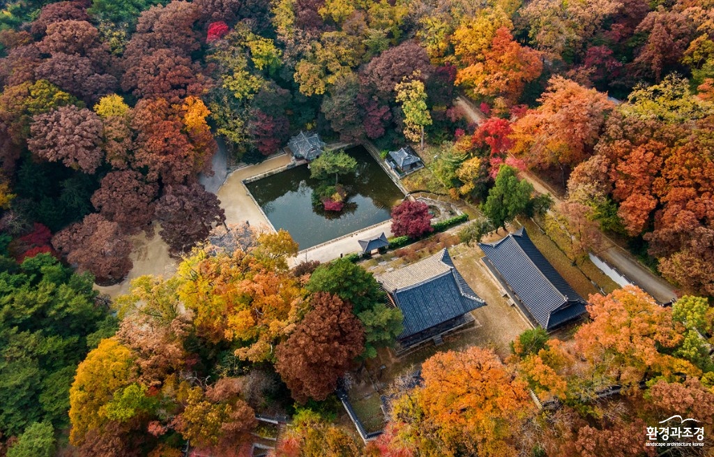창덕궁04-주합루 숲길 전경_서헌강.jpg