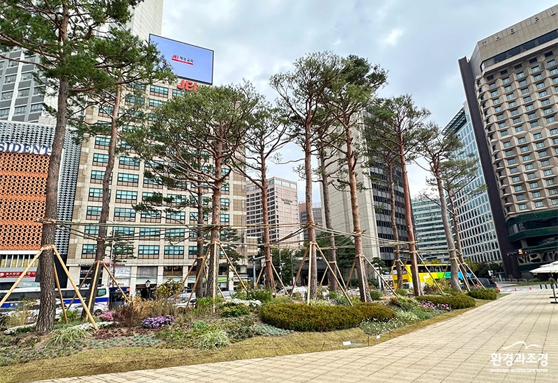 조성사진 보도.jpg
