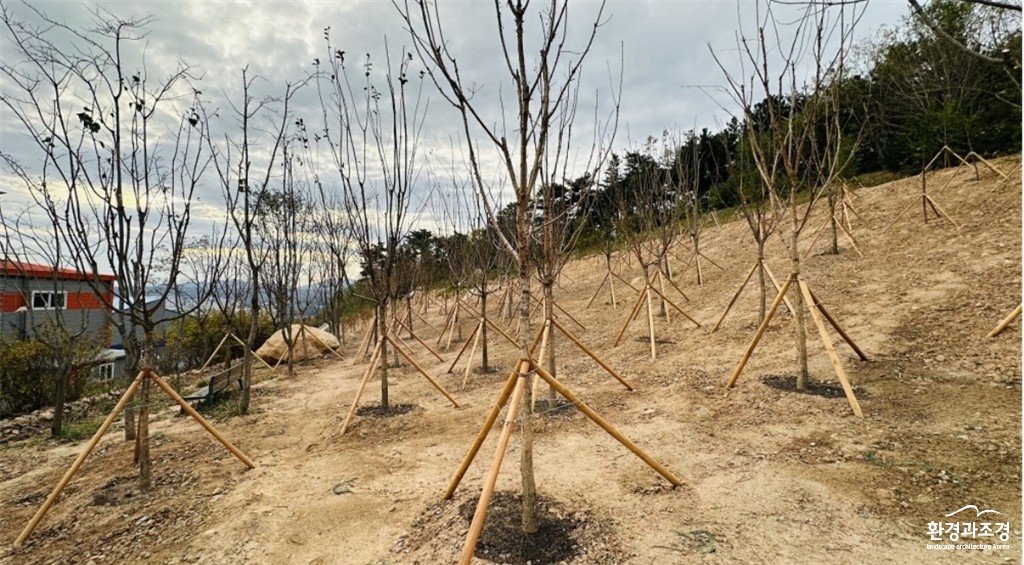 울산시.jpg