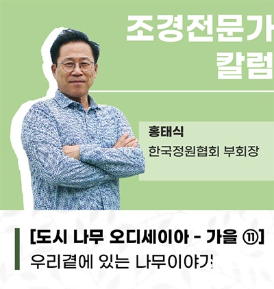 보도.jpg