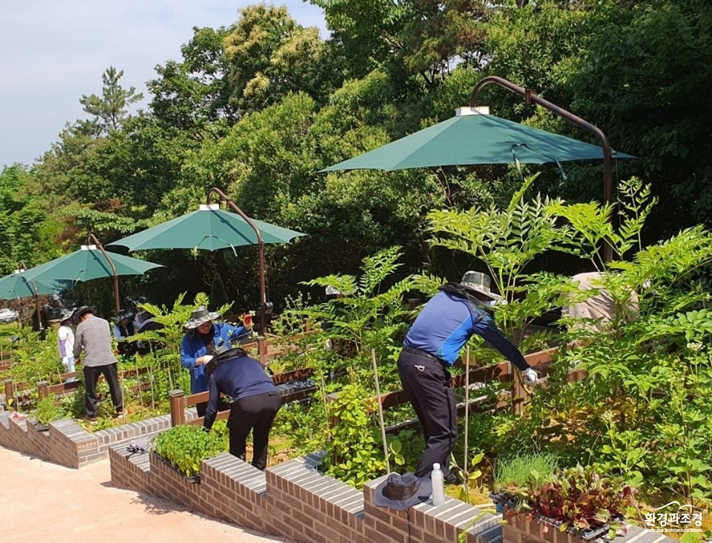 산림치유 프로그램인 산약초 재배체험(사진=전라남도산림자원연구소).jpg
