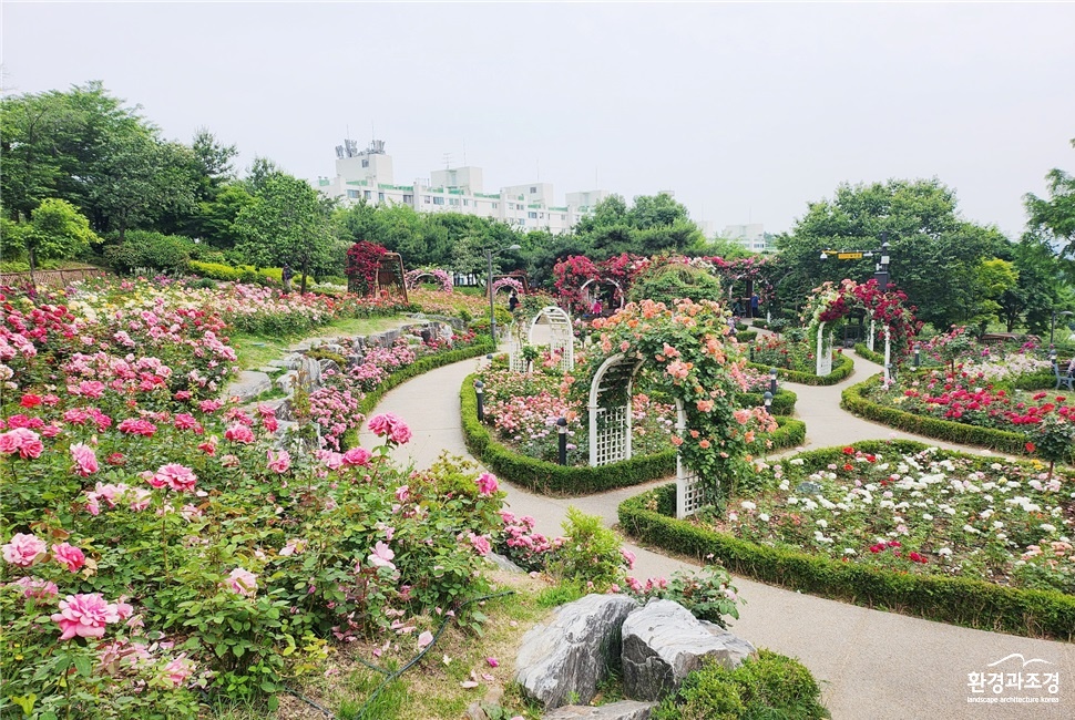 성동구 대현산장미원(사진=성동구 제공).jpg