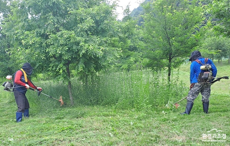 용인특례시 처인구 묵동마을회 주민들이 운학동 일대에서 수변녹지 식생관리 활동을 하고 있다.jpg