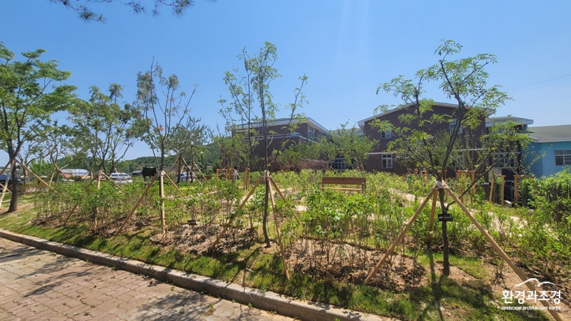 은산중학교에서 조성된 학교숲.jpg