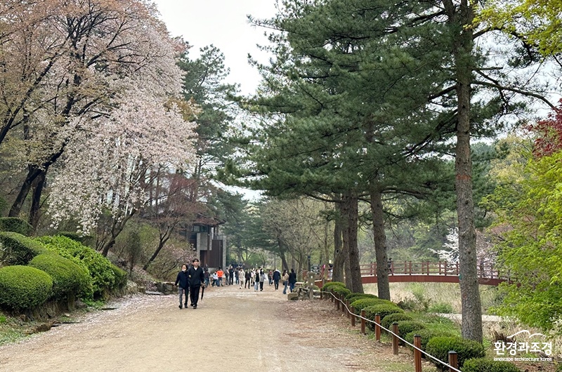 관악수목원 ㅇㅇ.jpg