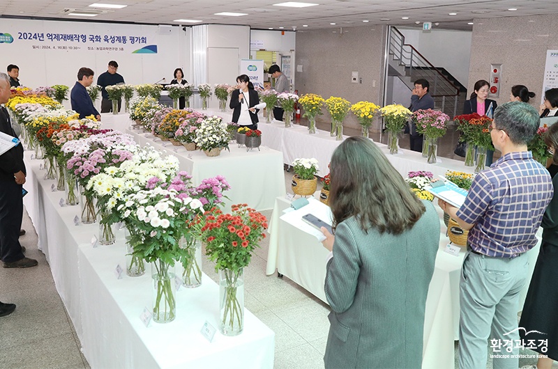 국화품평회ㅇㅇ.jpg