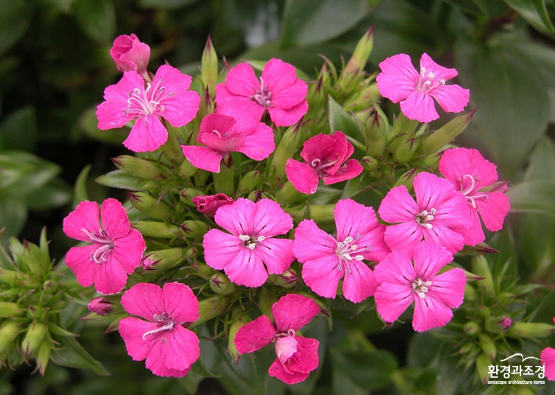 ㅇㅇㅇㅇ.jpg