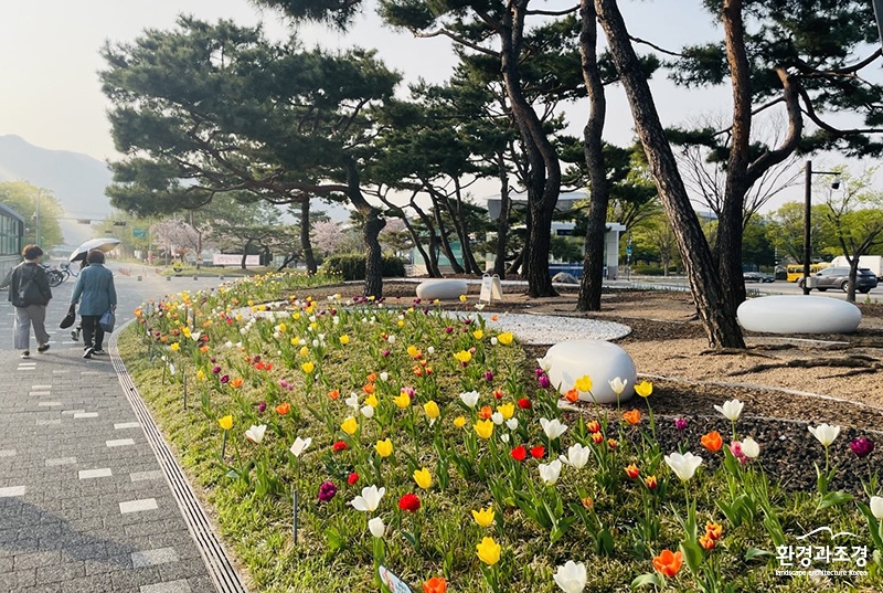 입구숲-소나무정원.jpg