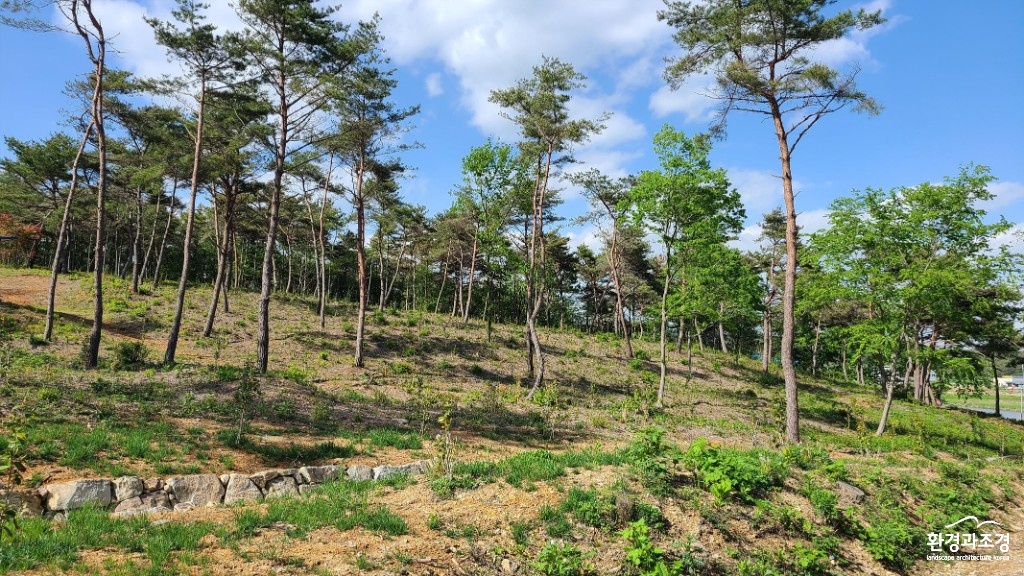 고성동백숲단지조성모습4.jpg