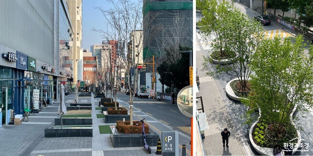 공유정언 조성 전(좌측)과 후.jpg