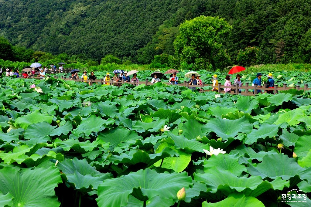 회야댐 생태습지 탐방행사00005.jpg