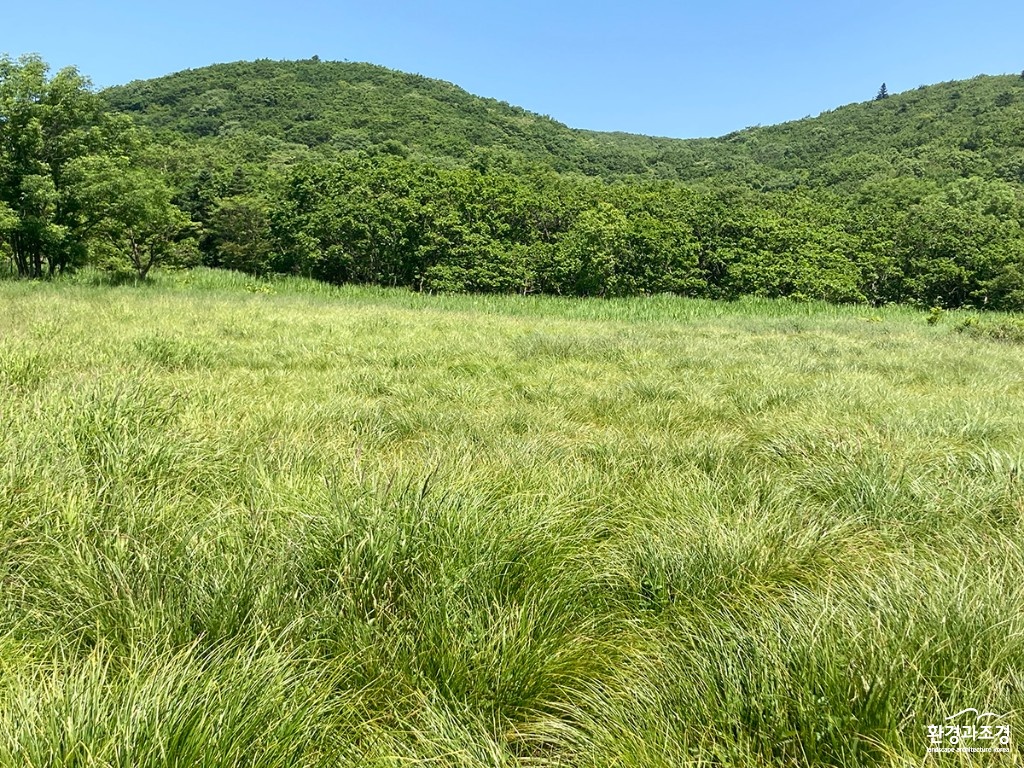 대암산 용늪 전경 ㅂㄷ.jpg