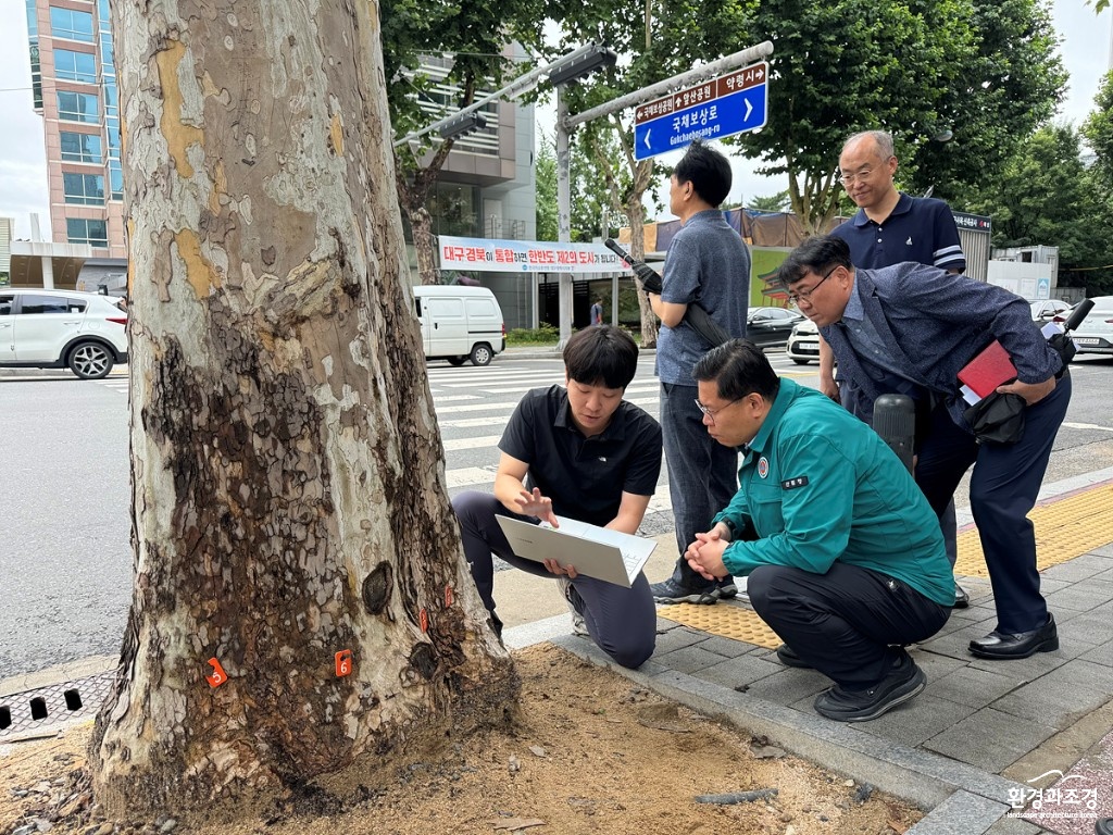 사진2. (가로수) 인구밀집지 수목 안전점검.jpg