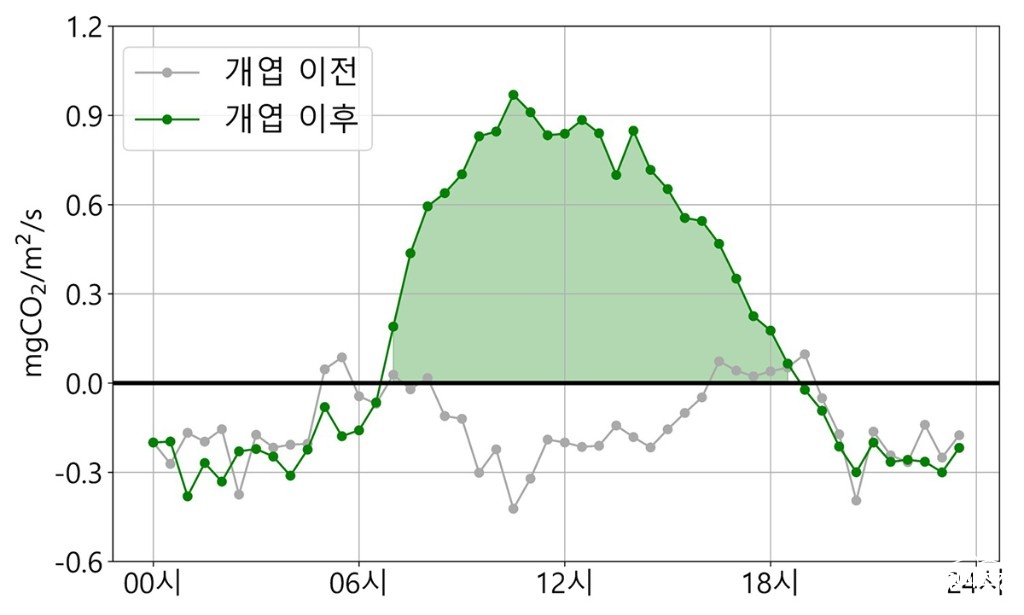 남산 신갈나무숲에서 관측된 시간대별 이산화탄소 흡수량.jpg