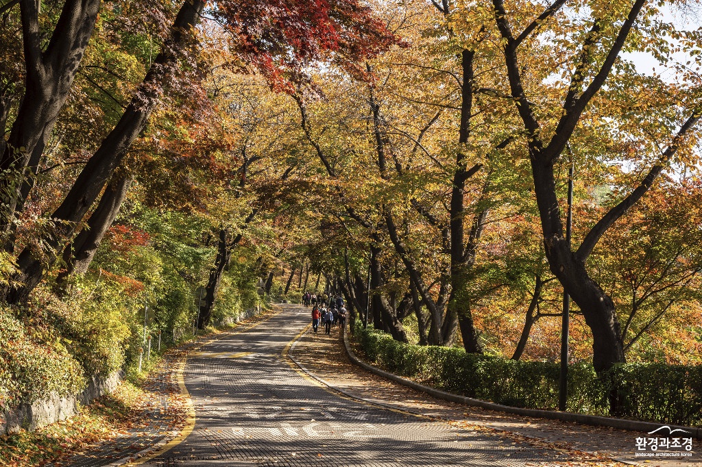 3. 사진제공_중부공원여가센터 공원사진사 설인선_남산둘레길의 가을.jpg