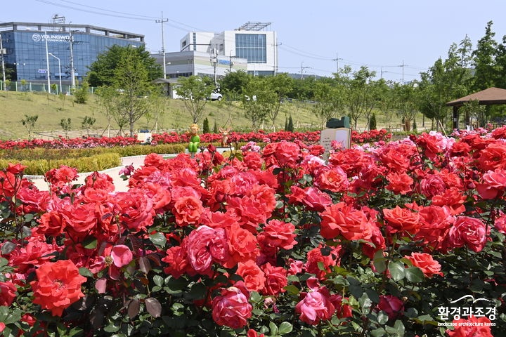 세천늪테마정원(사진=달성군 제공).jpg