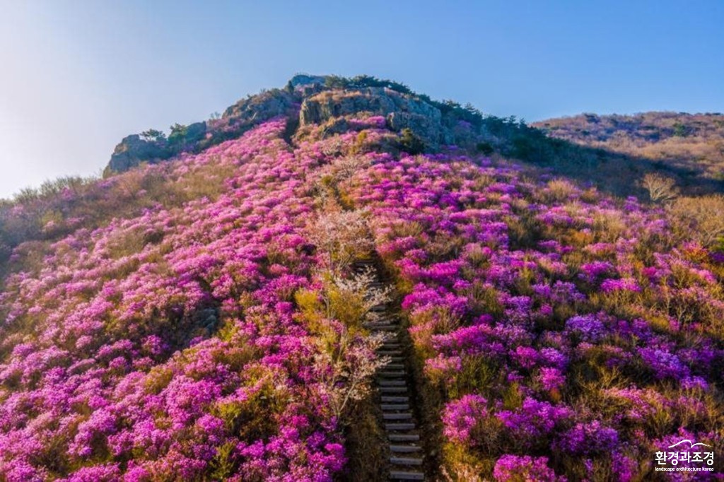 영취산 기암괴석과 진달래 군락 (사진=국가유산청 제공).jpg